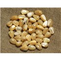 10pc - Perles Nacre Naturelle Beige irisée Gouttes 9x6mm   4558550026361