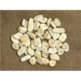 40 Stück - Synthetische Türkisperlen - Samenchips 6-15 mm Weiß 4558550028112