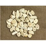40pc - Perles Turquoise Synthèse - Chips Rocailles 6-15mm Blanc 4558550028112 40pc - Perles Turquoise Synthèse - Chips Rocailles 6-15mm Blanc 4558550028112