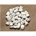50pc - Grosses Perles Rocailles Chips de Pierre - Howlite 5-15mm  4558550028181