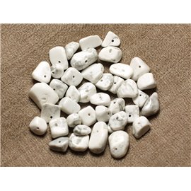 50pc - Perles Pierre Howlite grosses rocailles chips 5-15mm blanc gris - 4558550028181