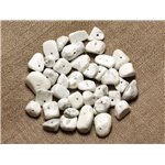 50pc - Grosses Perles Rocailles Chips de Pierre - Howlite 5-15mm  4558550028181