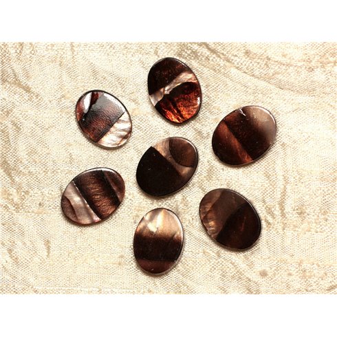 5pc - Perles de Nacre Ovales 20x15mm Marron Zébré  4558550031365