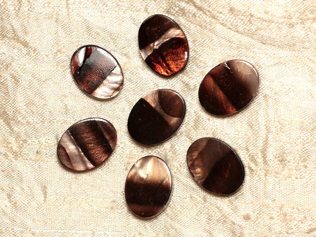 5pc - Perles de Nacre Ovales 20x15mm Marron Zébré  4558550031365
