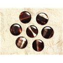5pc - Perles de Nacre Palets 20mm Marron Zébré  4558550031648