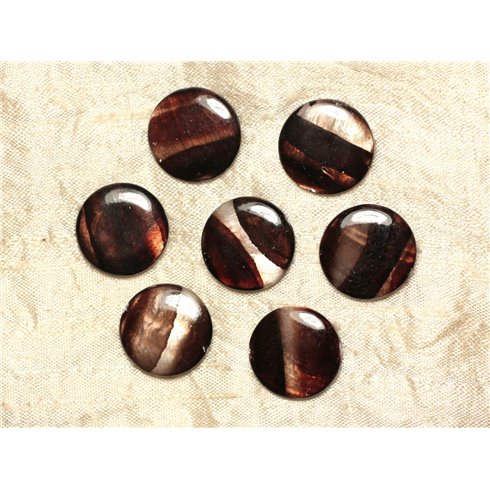 5pc - Perles de Nacre Palets 20mm Marron Zébré  4558550031648