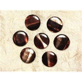 5pc - Nacre Pearls Palets 20mm Brown Zebra 4558550031648