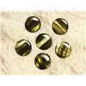 5pc - Perles de Nacre Palets 20mm Vert Zébré  4558550031723