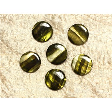 5pc - Perles de Nacre Palets 20mm Vert Zébré  4558550031723