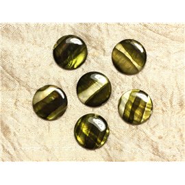 5pc - Perles de Nacre Palets 20mm Vert Zébré  4558550031723