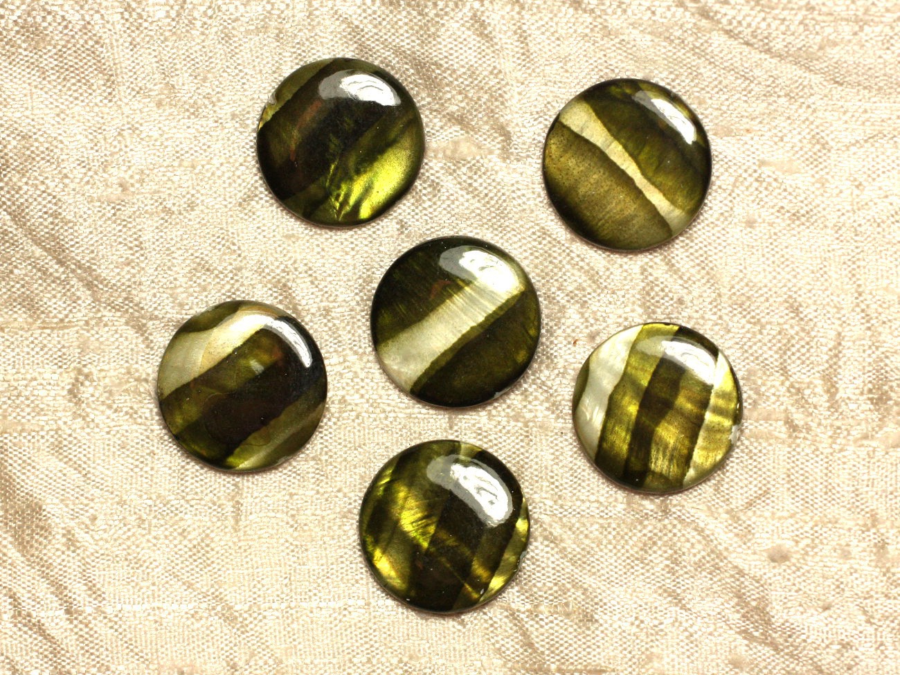 5pc - Perles de Nacre Palets 20mm Vert Zébré  4558550031723