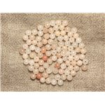 20pc - Perles de Pierre - Aventurine Rose Boules 4mm   4558550033642