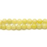 20pc - Perles de Pierre - Jade Jaune Citron Boules 4mm   4558550022158 