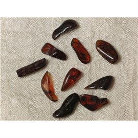 Amber Beads - Rocailles 14-16 mm - Sacchetto da 10 pezzi 4558550035554