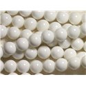10pc - Perles de Nacre Blanche opaque Boules 6mm   4558550035691