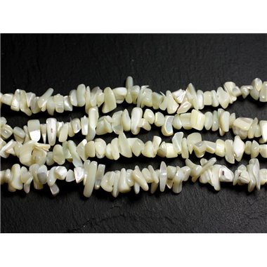 130pc environ - Perles Rocailles Chips de Nacre Blanche irisée 5-15mm - 4558550035905 