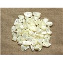 130pc environ - Perles Rocailles Chips de Nacre Blanche irisée 5-15mm - 4558550035905 