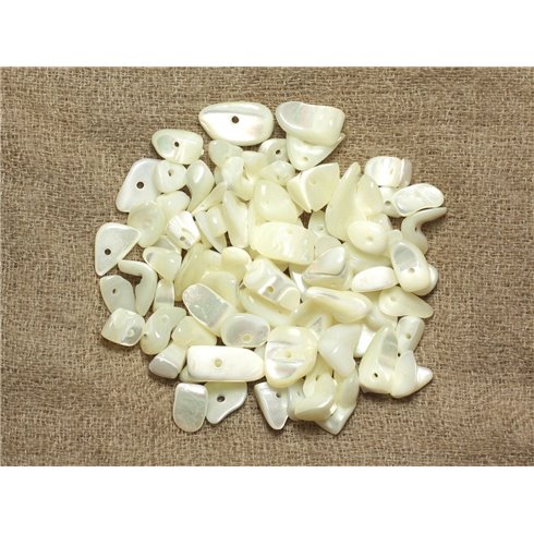 130pc environ - Perles Rocailles Chips de Nacre Blanche irisée 5-15mm - 4558550035905