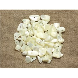 130pc environ - Perles Rocailles Chips de Nacre Blanche irisée 5-15mm - 4558550035905  130pc environ - Perles Rocailles Chips de Nacre Blanche irisée 5-15mm - 4558550035905