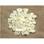 130pc environ - Perles Rocailles Chips de Nacre Blanche irisée 5-15mm - 4558550035905 