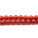 5pc - Perles de Pierre - Cornaline Boules 10mm  4558550037602