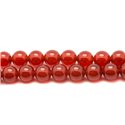 20pc - Perles de Pierre - Cornaline Boules 4mm - 4558550038265 