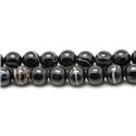 5pc - Perles de Pierre - Agate Noire Boules 10mm   4558550038968