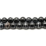 5pc - Perles de Pierre - Agate Noire Boules 10mm   4558550038968