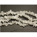 Fil 89cm 240pc env - Perles de Pierre - Jade blanche Rocailles Chips 5-10mm 