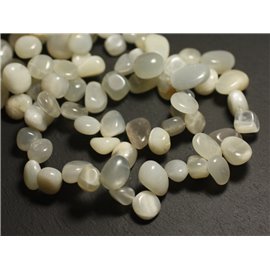 Filo 39 cm 54 pz circa - Perline di pietra - Chips di pietra di luna grigio bianco 8-15 mm 