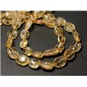 Fil 32cm 25-35pc env - Perles de Pierre - Citrine Olives Ovales 7-15mm - 8741140012677