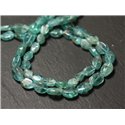 Fil 33cm 38pc env - Perles de Pierre - Apatite Olives 7-9mm - 8741140012554 