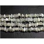 Fil 39cm 120pc env - Perles de Pierre - Pierre de Lune gris blanc Chips arrondies 5-10mm 