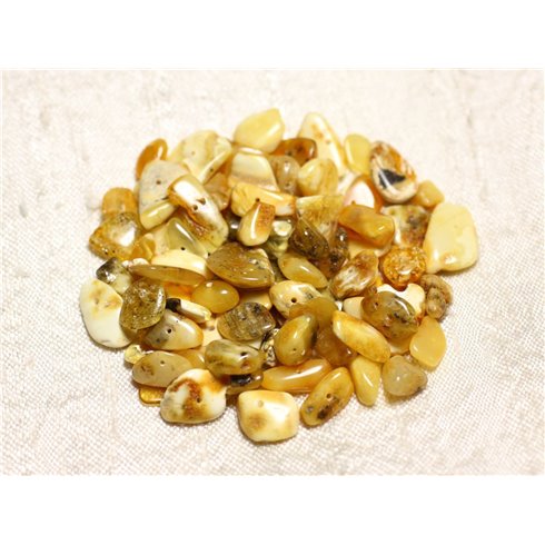 Fil 41cm 120pc env - Perles Ambre naturelle Rocailles Chips Lait 8-11mm - 8741140010376 