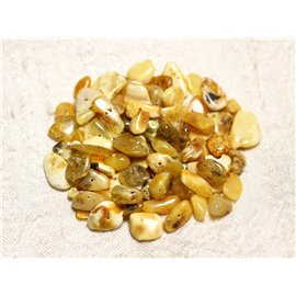 Fil 41cm 120pc environ - Perles Pierre Ambre naturelle Baltique Rocailles Chips 8-11mm Lait jaune blanc