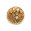 N3 - Cabochon de Pierre - Corail Fossile Rond 23mm - 8741140006416 