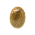 N1 - Cabochon de Pierre - Bois Fossile Ovale 29x21mm - 8741140006164 