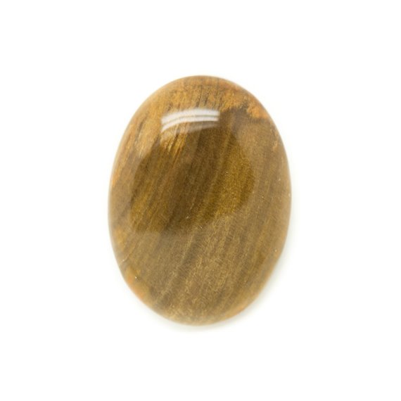 N1 - Cabochon de Pierre - Bois Fossile Ovale 29x21mm - 8741140006164 