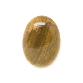 N1 - Cabochon de Pierre - Bois Fossile Ovale 29x21mm - 8741140006164 