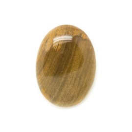 N1 - Cabochon in pietra - Ovale in legno fossile 29x21 mm - 8741140006164 