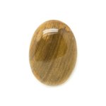 N1 - Cabochon de Pierre - Bois Fossile Ovale 29x21mm - 8741140006164 