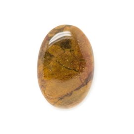 N7 - Cabochon in pietra - Ovale in legno fossile 33x23mm - 8741140006225 