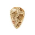 N29 - Cabochon de Pierre - Corail Fossile Goutte 24x17mm - 8741140006676 