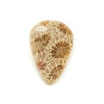 N29 - Cabochon de Pierre - Corail Fossile Goutte 24x17mm - 8741140006676 