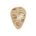 N38 - Cabochon de Pierre - Corail Fossile Goutte 28x20mm - 8741140006768 