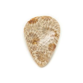 N38 - Cabochon de Pierre - Corail Fossile Goutte 28x20mm - 8741140006768 