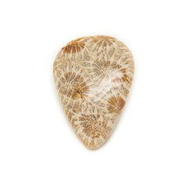 N38 - Stenen Cabochon - Fossil Coral Drop 28x20mm - 8741140006768 