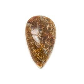 N39 - Cabujón de piedra - Gota de coral fósil 31x19mm - 8741140006775 