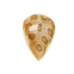 N40 - Cabochon de Pierre - Corail Fossile Goutte 31x21mm - 8741140006782 