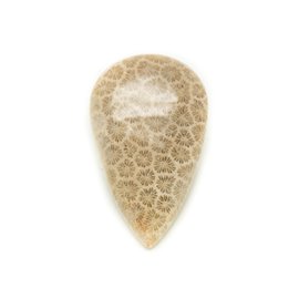 N45 - Cabochon in pietra - Goccia di corallo fossile 36x22mm - 8741140006836 